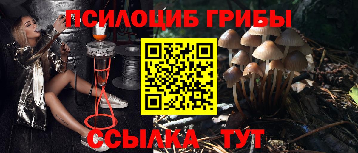 Псилоцибиновые грибы ЛСД Урай